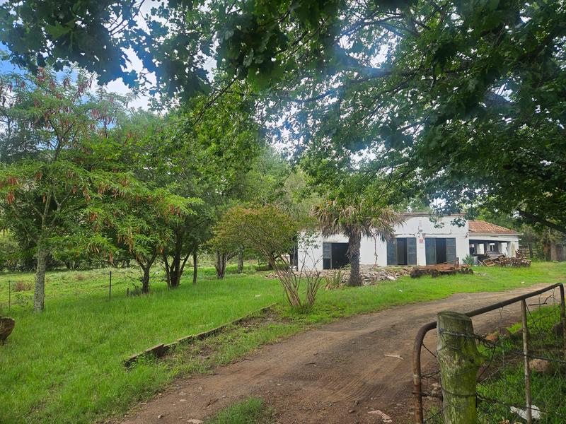 10 Bedroom Property for Sale in Queenstown Rural Eastern Cape